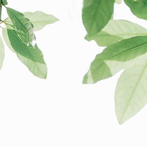 人C交CZZ00XX特级
